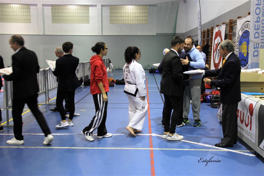 Copa Seul 2018 (608).jpg